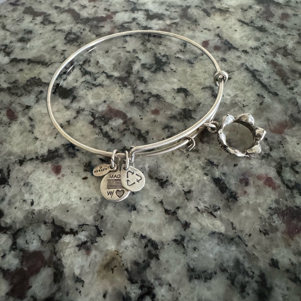 Alex and Ani crown silver bracelet